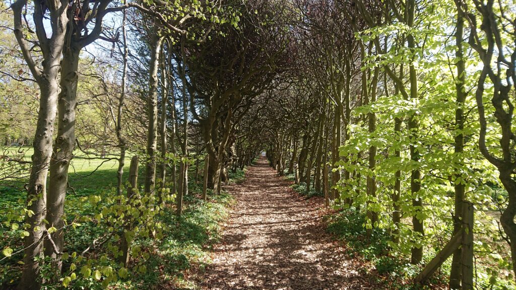 Pålsjö Forest Landscapes in Helsingborg