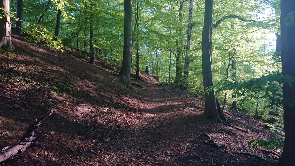 Jordbodalen Forest Landscape in Helsingborg