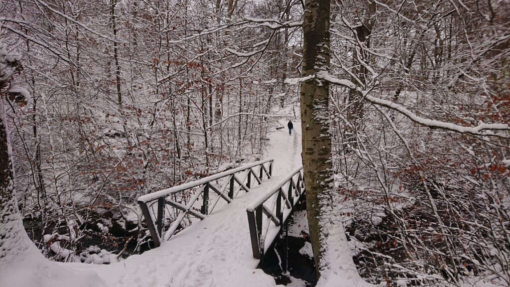 Pålsjö Forest Winter Wonderland