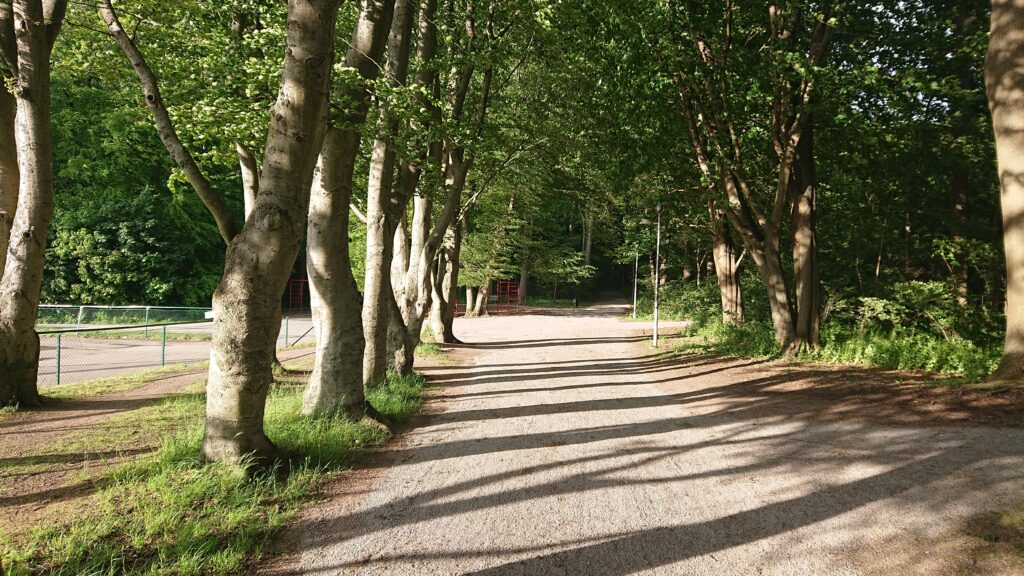 Fredriksdals Forest Outdoors Gym in Helsingborg (My personal Favorite)