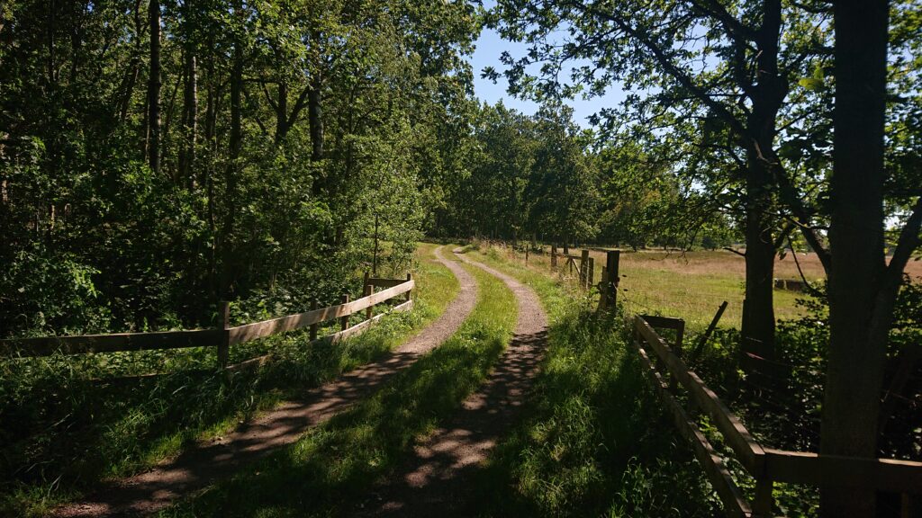 Path between Arild and Ängelholm