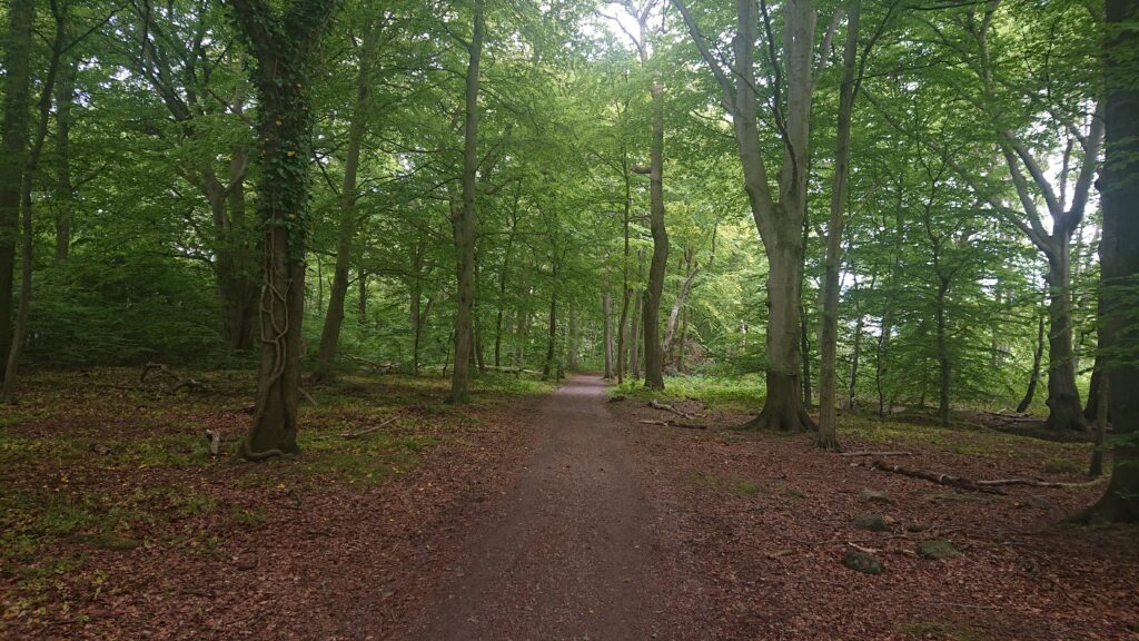 Pålsjö Forest in Helsingborg