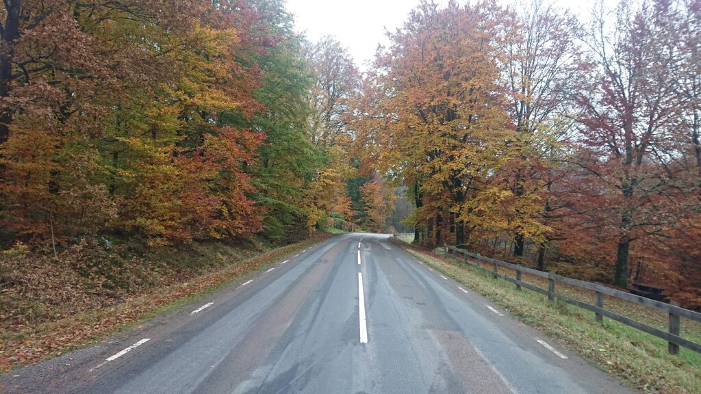 Autumn landscape