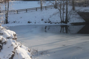 Heron (häger) on the ice wintertime in Jordbodalen, Helsingborg, Skåne, Sweden